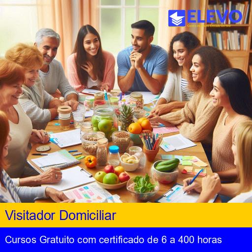 Visitador Domiciliar
